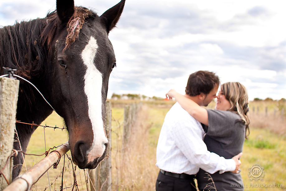 horse watching couple kiss engagement session