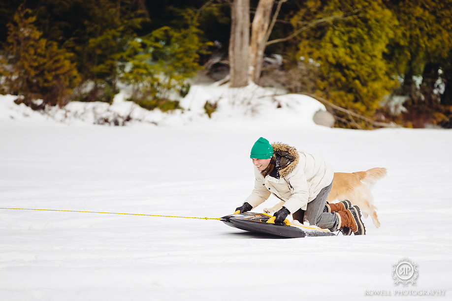 Dog sledding at the cottage muskoka