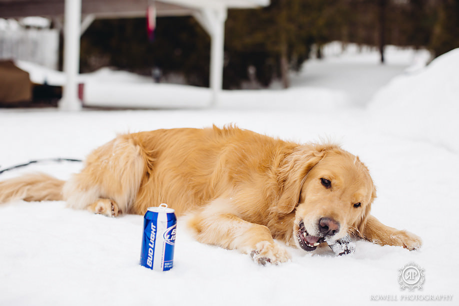 winter puppy photos