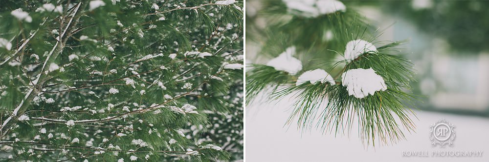 Muskoka pre-wedding engagement photos 3-1