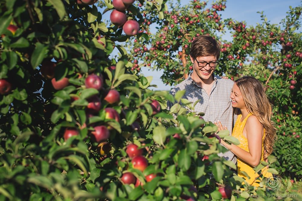 pre-wedding-engagement-apple-orchard-photos-05