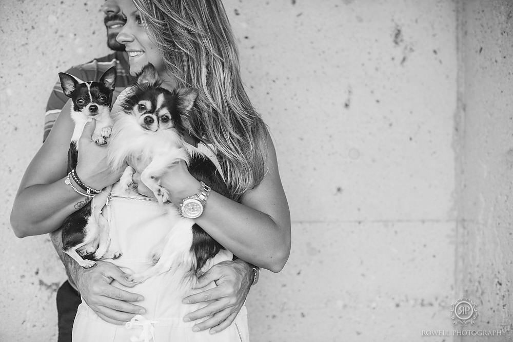 puppies engagement session in barrie