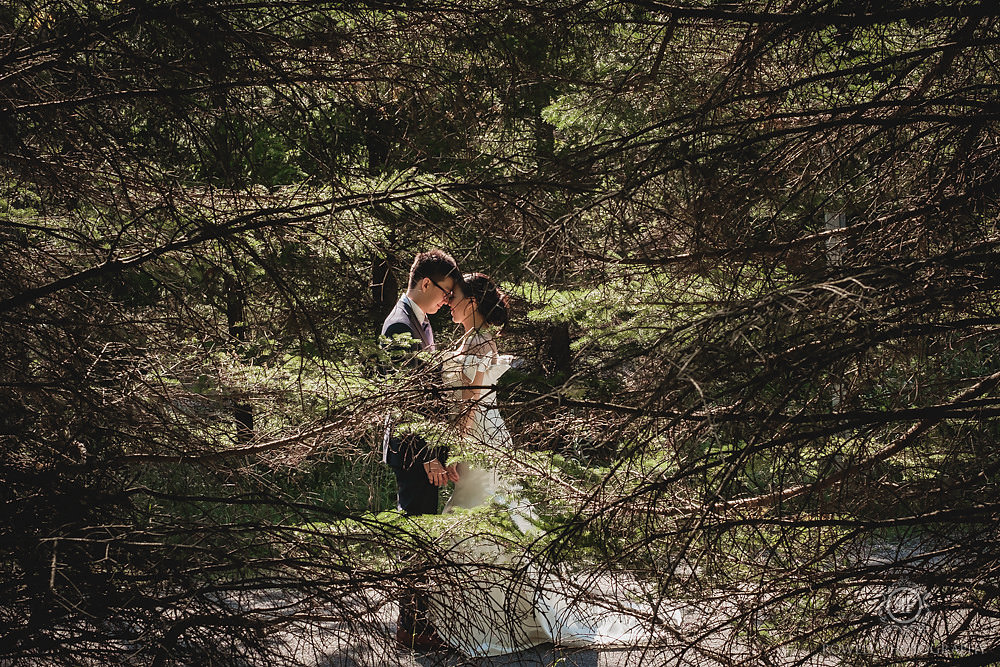 barrie ontario prewedding photo