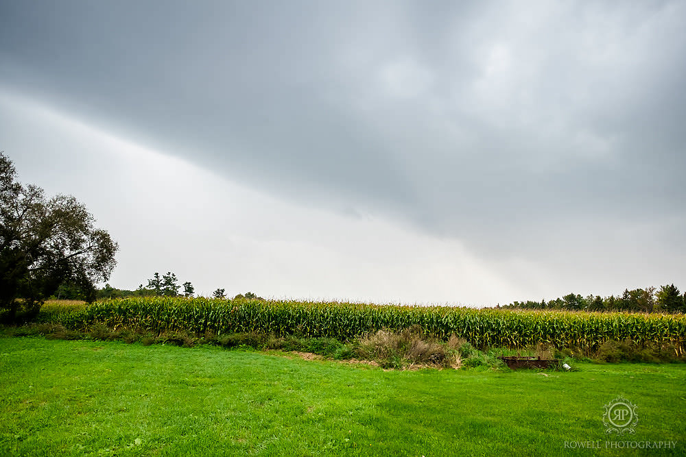 prince edward country open field