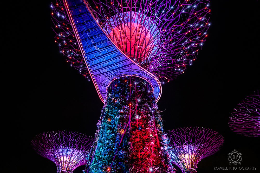 Singapore travel photography gardens by the bay