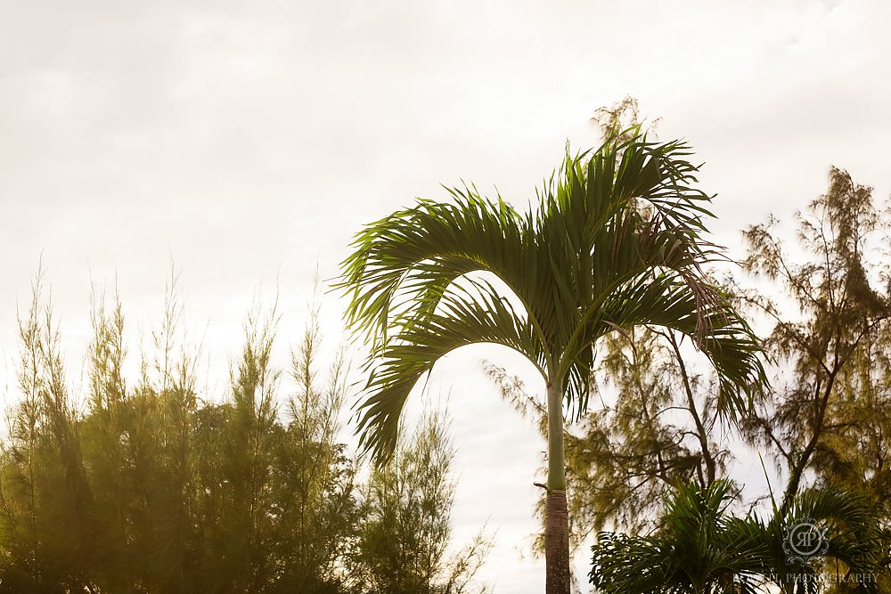 jamaica-wedding-advertising-55